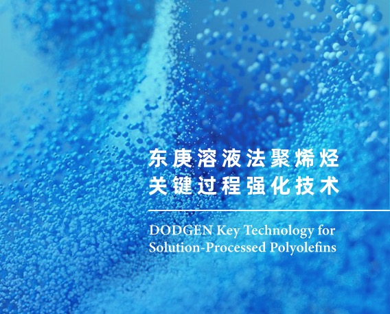 东庚溶液法聚烯烃关键过程强化技术