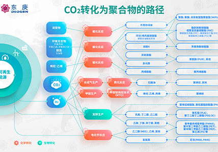 一图概览｜二氧化碳转化为高值聚合物的技术路线