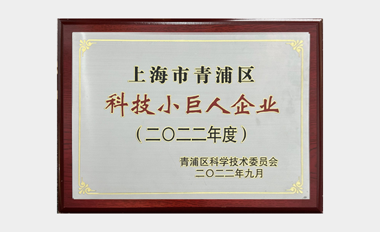 上海市青浦区科技小巨人企业